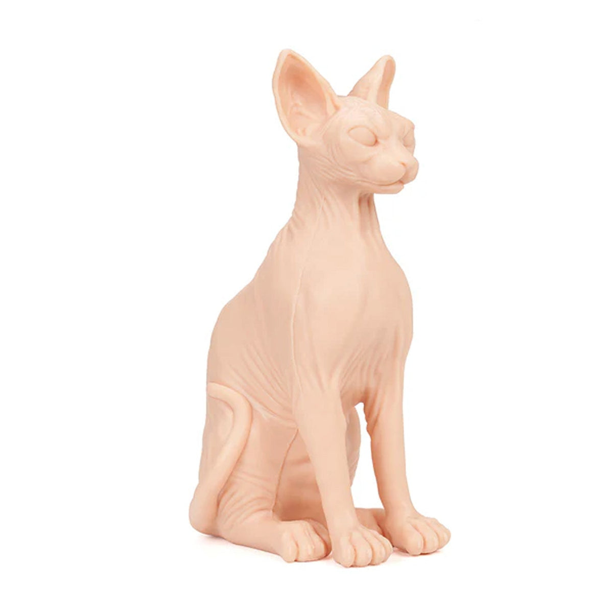 APOF Sphynx Cat
