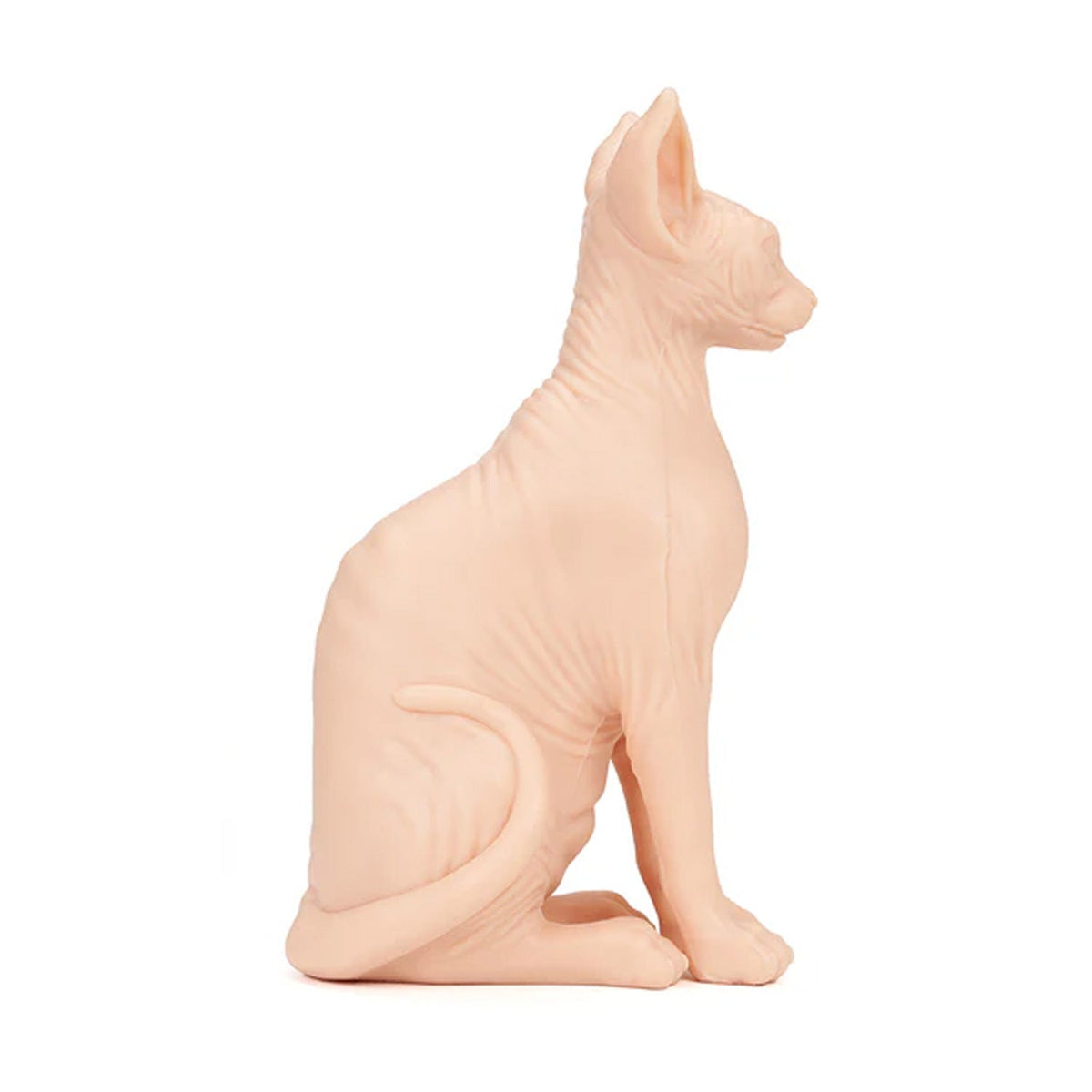 APOF Sphynx Cat