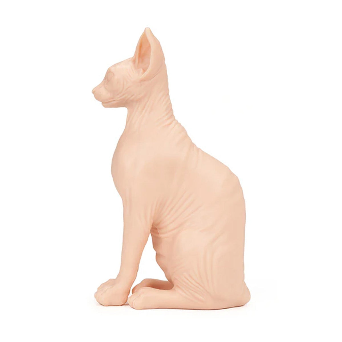 APOF Sphynx Cat