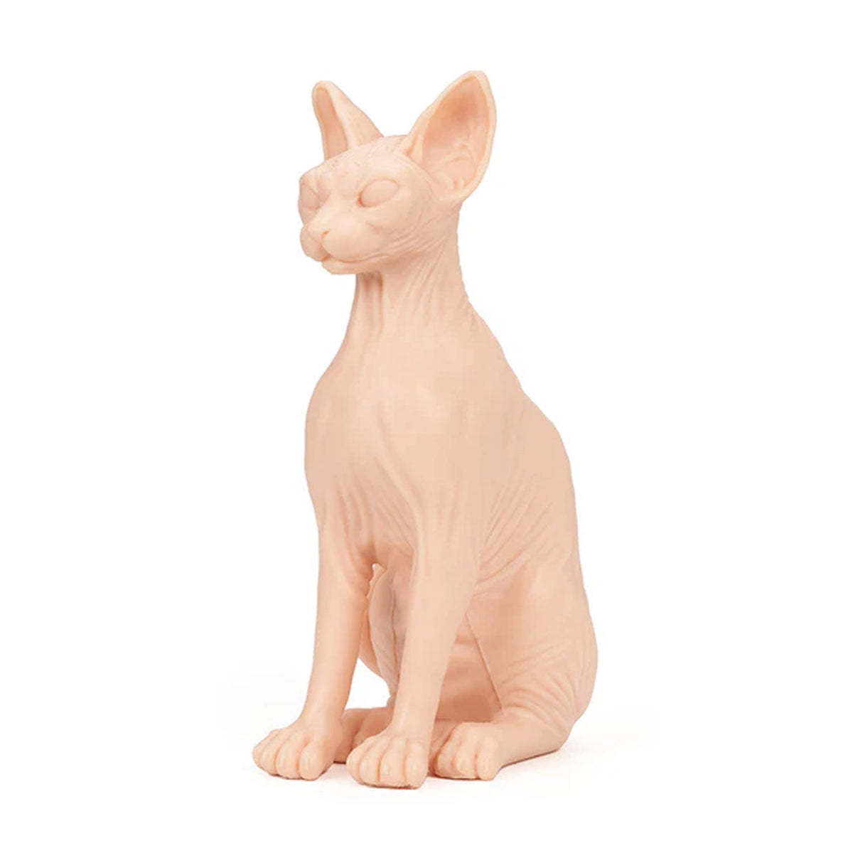APOF Sphynx Cat