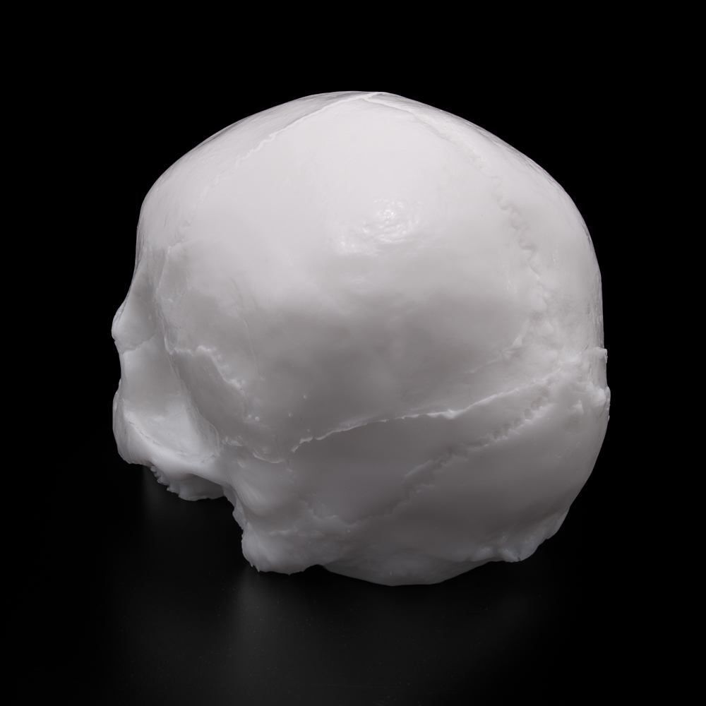 APOF-Yorick Skull