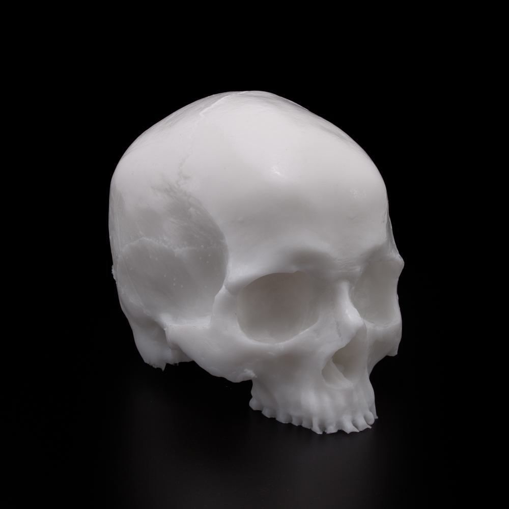 APOF-Yorick Skull